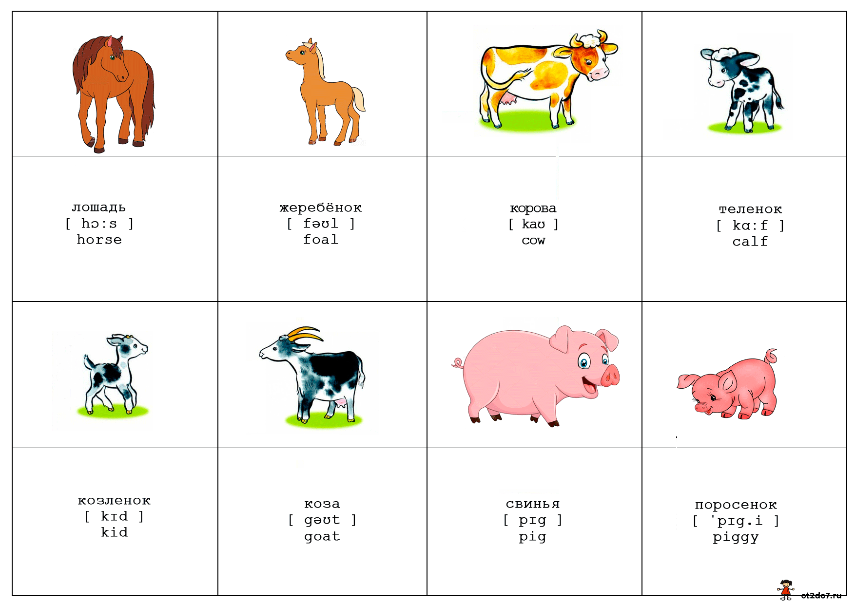 Карточки английских слов домашние животные