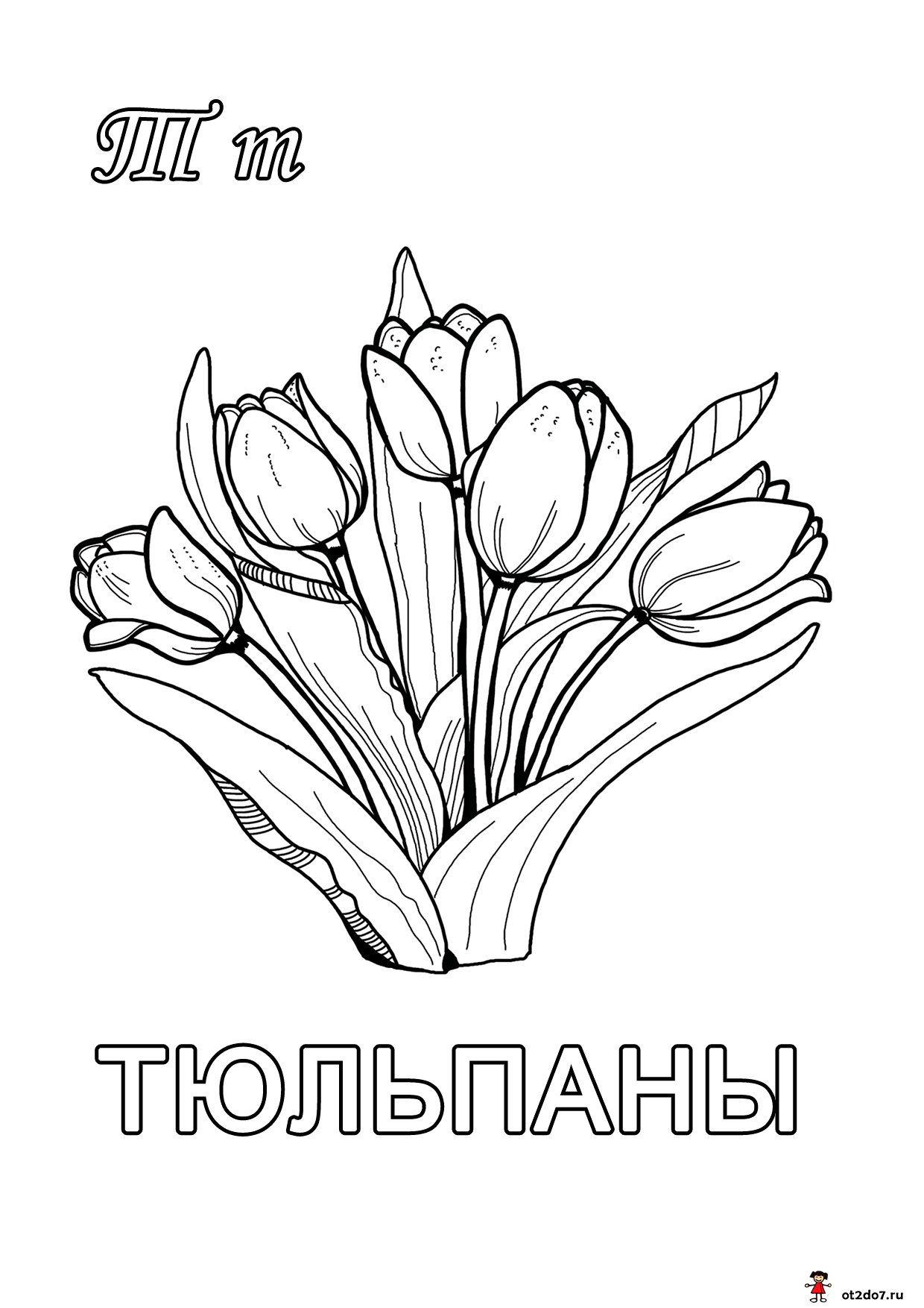 Эскиз букета из тюльпанов