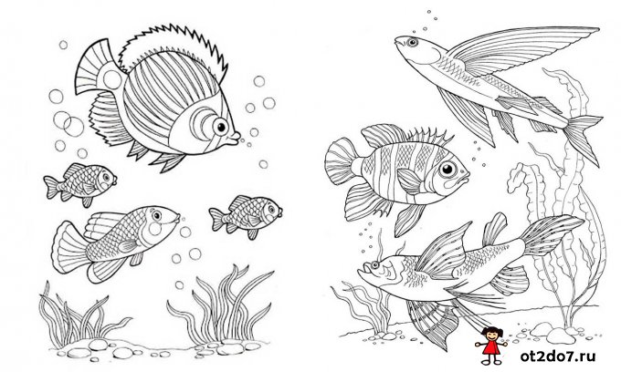 Раскраски и стихи про рыбу и рыбалку